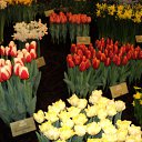 ���� Tim, ��������� - ��������� 25 ������ 2013 � ������ �������