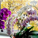 ���� ���������, ��������� - ��������� 22 ������ 2013 � ������ ���� ����������