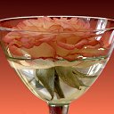  Skoj,  -  6  2014   ,,ܻ