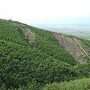 ���� Marina, ���� - ��������� 19 ������ 2014 � ������ �TBILISI-SIGNAHI-BATUMI�