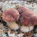 ���� �����, ���������, 64 ���� - ��������� 30 �������� 2013 � ������ ������������ �������