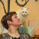 ���� �������, ��������, 54 ���� - ��������� 2 ������� 2014 � ������ ���� ����������