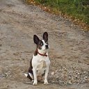 ����� ������� - �����!
� ����� ������� �� ������� �� ����... �� ������� ���� ���� � ������ ��������