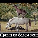 ���� Ws, �����������, 66 ��� - ��������� 1 ������ 2014 � ������ ���� ����������
