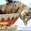  ,  -  12  2013      -2