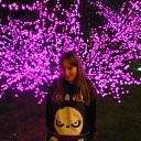 ���� ����, ���������, 31 ��� - ��������� 29 ������ 2014 � ������ ���� ����������