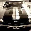 ���� �����, ������, 36 ��� - ��������� 9 ������ 2013 � ������ ������ ��������