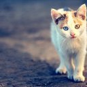  []__[],  -  23  2013    