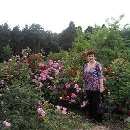 , 63, 