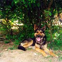 ���� ������, ���������� - ��������� 11 �������� 2013 � ������ ���� ����������