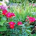 ���� ������� �., ����� - ��������� 5 ������� 2013 � ������ �������