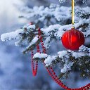 ���� �����, ������� �������� - ��������� 12 ������ 2014 � ������ ������ ��������