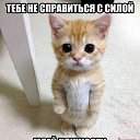 ���� Roman, ��������, 37 ��� - ��������� 25 ������� 2014 � ������ ������ ��������