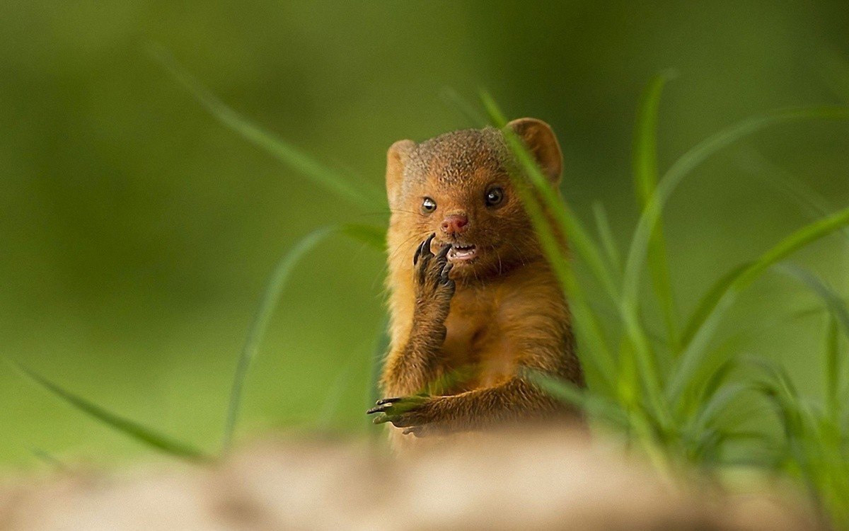 �� ���� ��... #animal@travel.blog