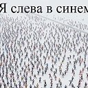  , , 41  -  31  2013    
