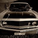 ���� �����, ������, 36 ��� - ��������� 9 ������ 2013 � ������ ������ ��������