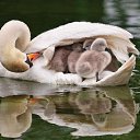 ���� �����, ����� - ��������� 24 ������ 2014 � ������ ����� ��� ������������