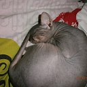 ���� ����, ������ ��� - ��������� 19 �������� 2013 � ������ ���� ����������