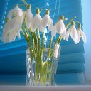 ���� ����, ������ - ��������� 3 ����� 2014 � ������ ���� ����������