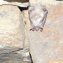 ���� �����, ������, 54 ���� - ��������� 10 ����� 2014 � ������ ���� ����������