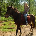 ���� ����������, �����-���������, 41 ��� - ��������� 5 ������� 2013 � ������ ���