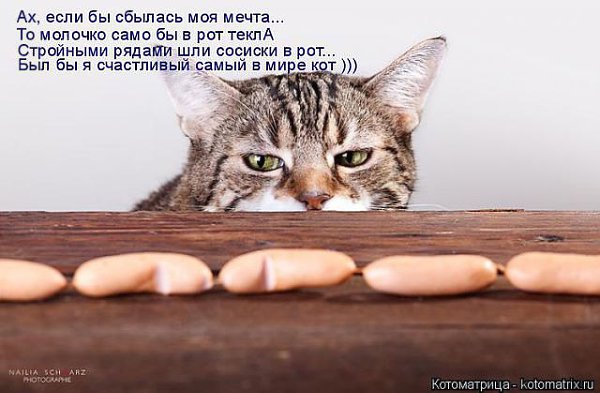 � ����� ������ ����������� - 6