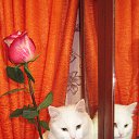 ���� ���� Beautiful, ������� - ��������� 16 ������� 2014 � ������ ���� ������� ���