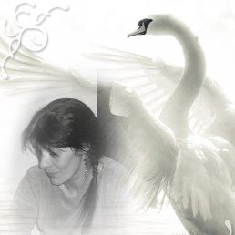 ����, ������, 55 ���