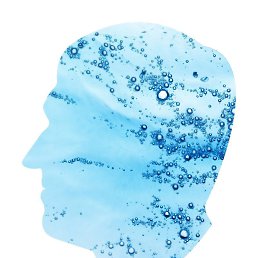 �������, ���������, 38 ���