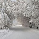 ���� ���������, ������ - ��������� 6 ������� 2013 � ������ ��������
