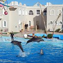 �������� ���� ���!!!
 �� ������� ������� 2014�