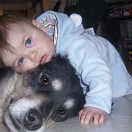 ���� ����, �����, 62 ���� - ��������� 14 �������� 2013