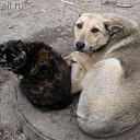 -    .... .    ,   !