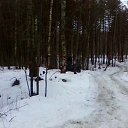 ���� ���������, �������, 50 ��� - ��������� 1 ����� 2014 � ������ ������ ��������