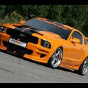���� ����, ��������, 44 ���� - ��������� 28 ������� 2013 � ������ ���� ����������