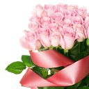 ���� ���������, ���������, 54 ���� - ��������� 21 ������� 2014 � ������ ������ ��������