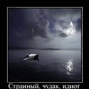 ���� ����, �����-��������� - ��������� 13 ����� 2014 � ������ ������ ��������