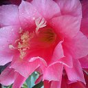 ��� ������ �� ������� ���� ������ ���