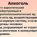���� ������, ������, 47 ��� - ��������� 3 ������ 2014 � ������ ���� ����������