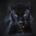 ���� �����, �����������, 44 ���� - ��������� 30 ������ 2014 � ������ ���� ����������