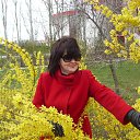 ��������� �� ������� ����� ��� ������������