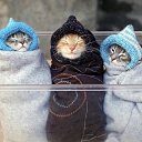 � ����� �������� ���� vk.com/fotiko �� ������� ���� ���� ������
