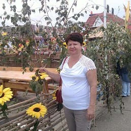 ���� ����, ���������, 73 ���� - ��������� 19 �������� 2013