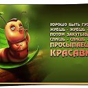 ���� ����, ���� - ��������� 22 ������� 2013 � ������ ���� ����������