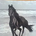 ���� ������, ������, 46 ��� - ��������� 17 ������ 2014