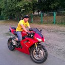 ���� ����, ��������, 43 ���� - ��������� 11 ������� 2013 � ������ ���� ����������