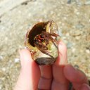 ���� ������� �������������, ����������� - ��������� 22 �������� 2013 � ������ ���� ����������