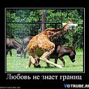 ���� ����, ������, 54 ���� - ��������� 19 ������� 2013 � ������ �������