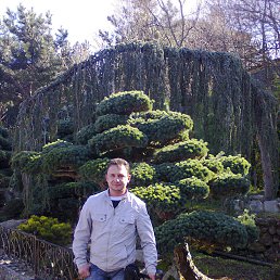 ������, �����������, 49 ���