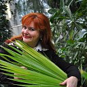 ���� ������, �����, 57 ��� - ��������� 9 ������� 2014 � ������ ���� ����������